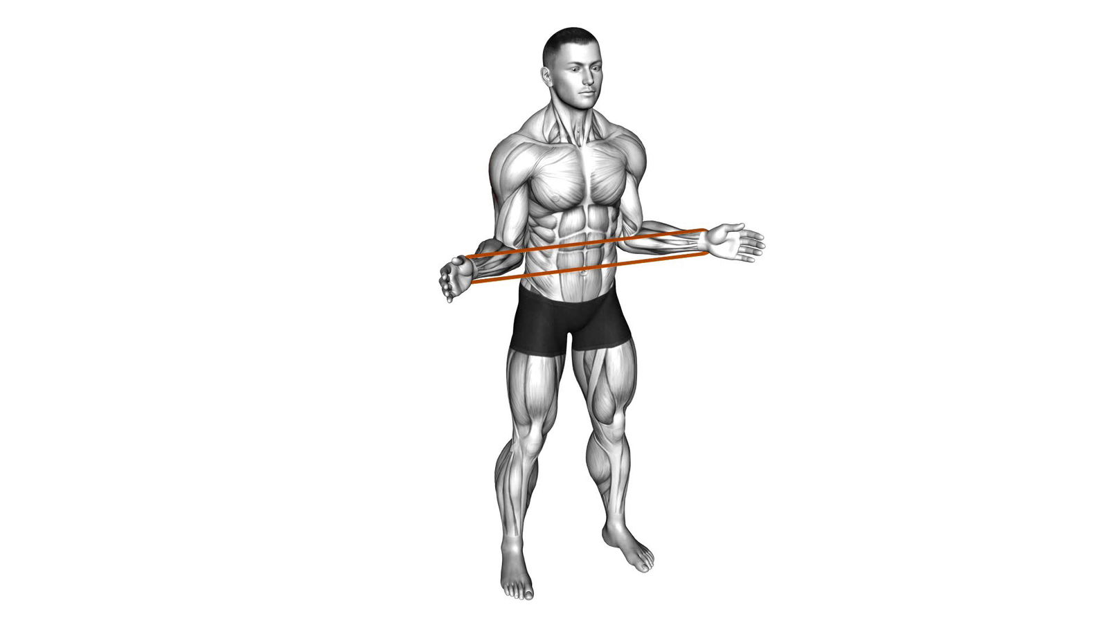 Schulter Außenrotation