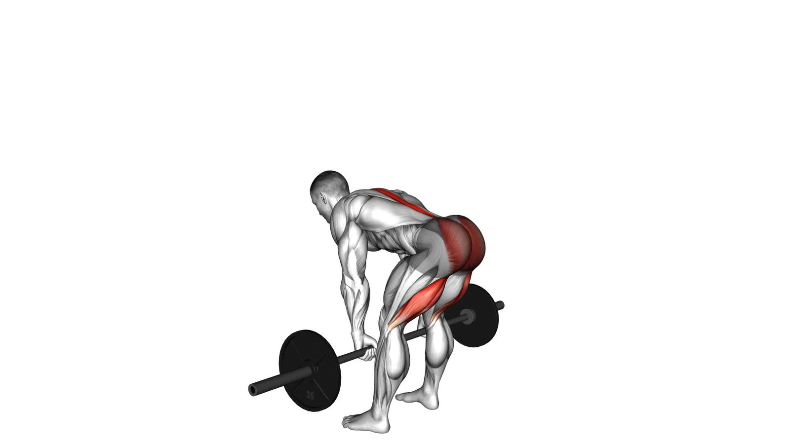 Rumänisches Kreuzheben