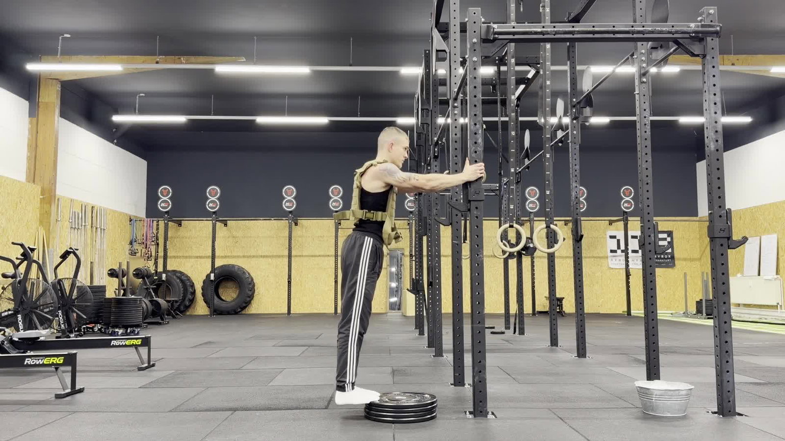 Calf Raises Weighted