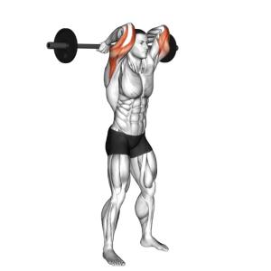 Trizepsdrücken