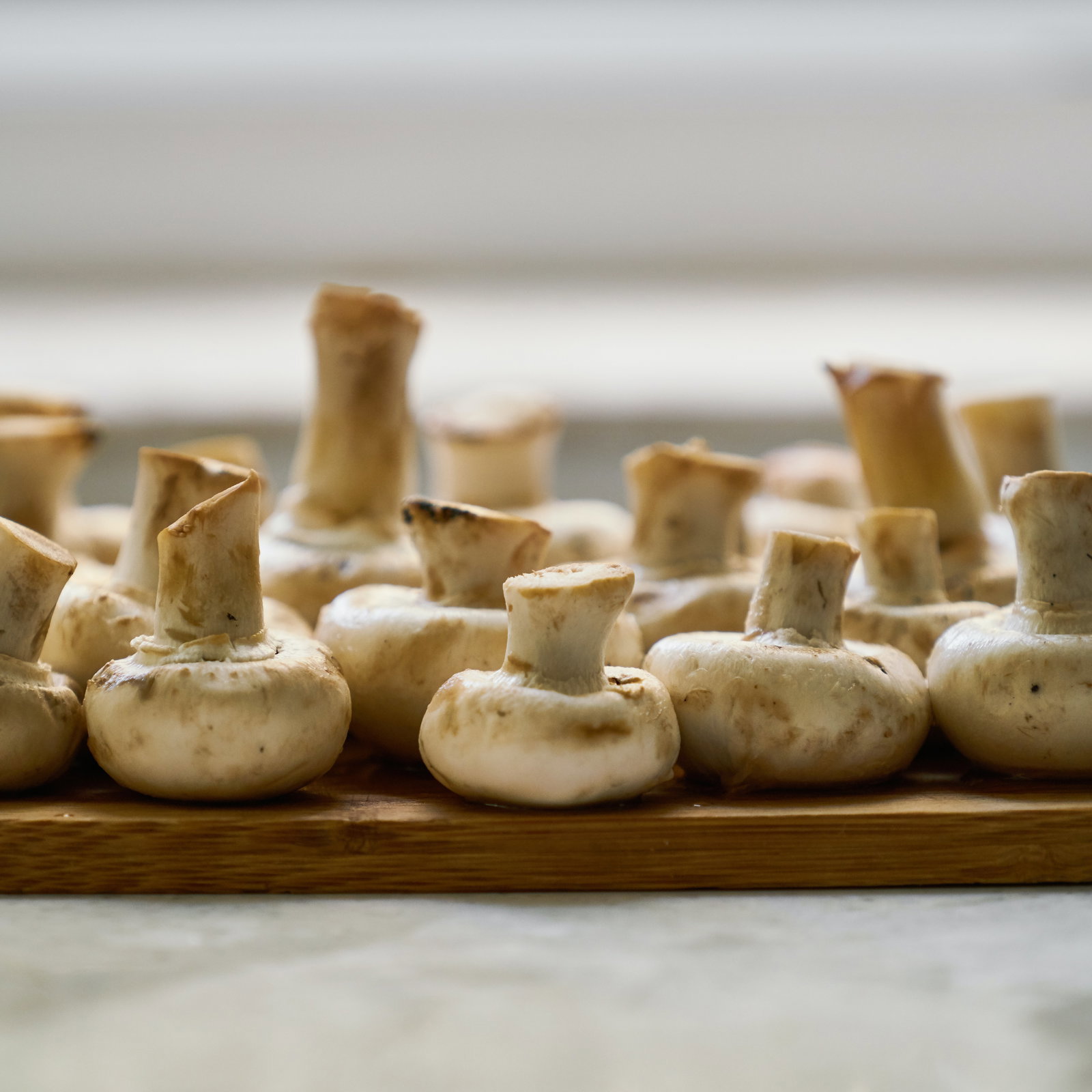 Braune Mushrooms