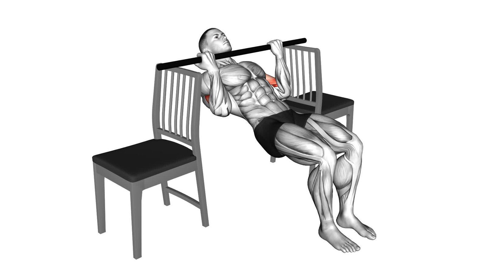 Bodyweight Curls