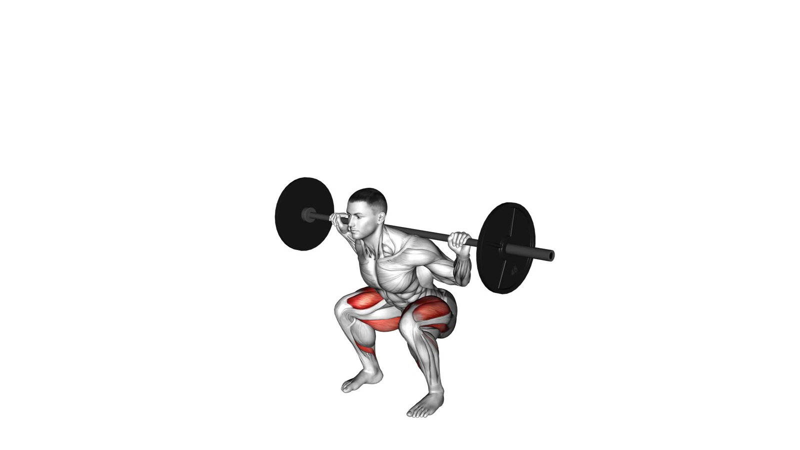 Zercher Squat Background
