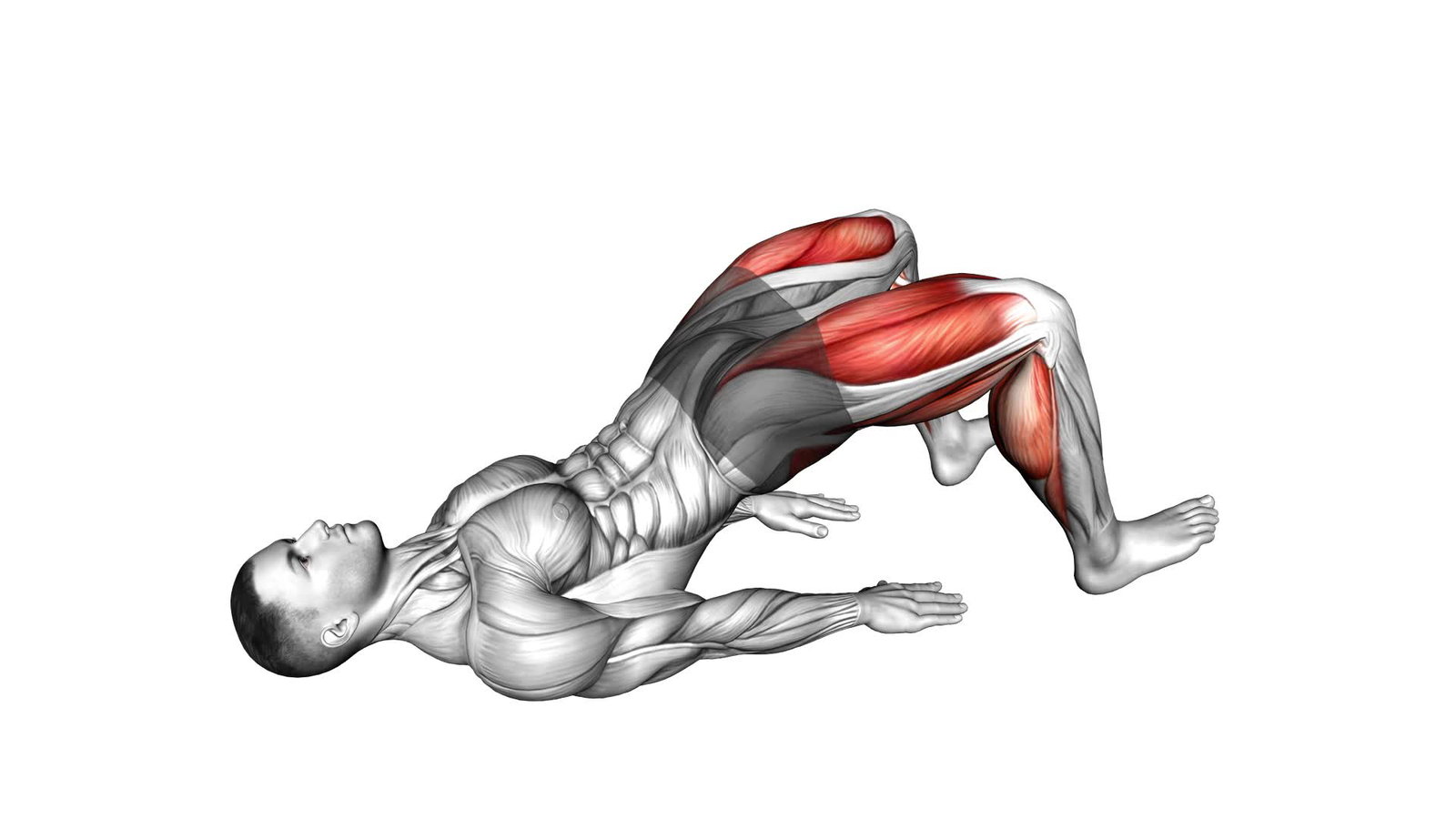 Glute Bridge Background