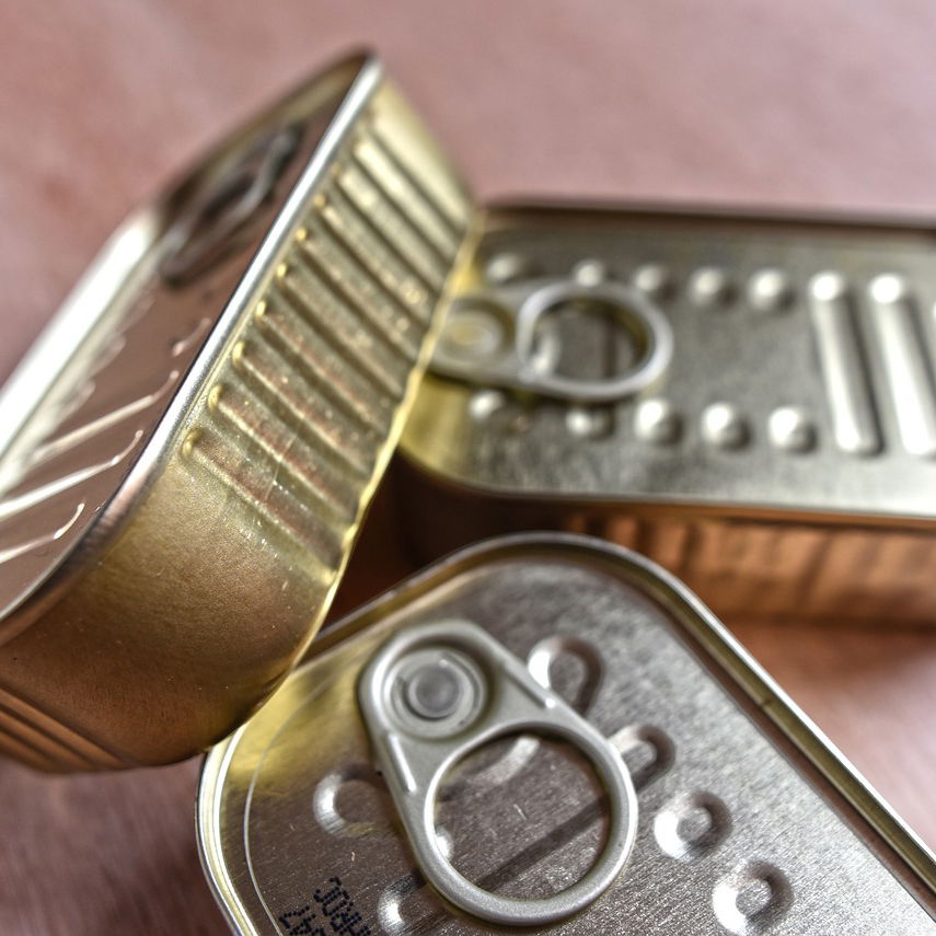 Thunfisch Filets in Sonnenblumenöl