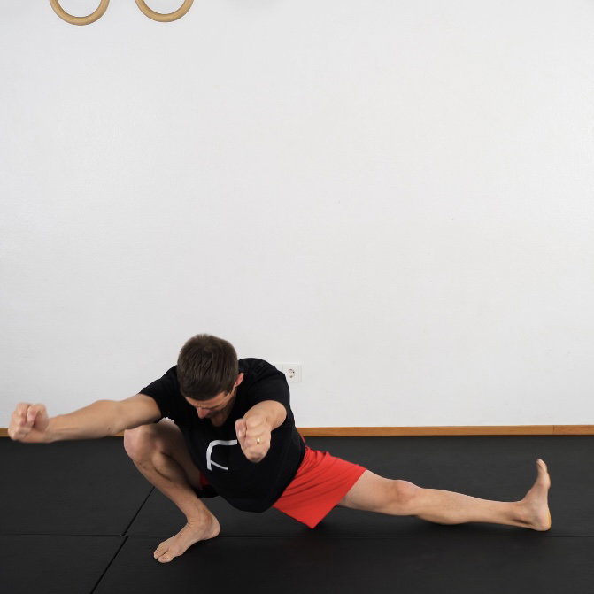 Cossack Squat deep switches Background