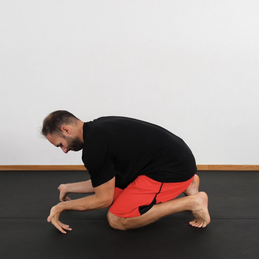 Handteller Stretch im 4 Füßler dynamisch Background