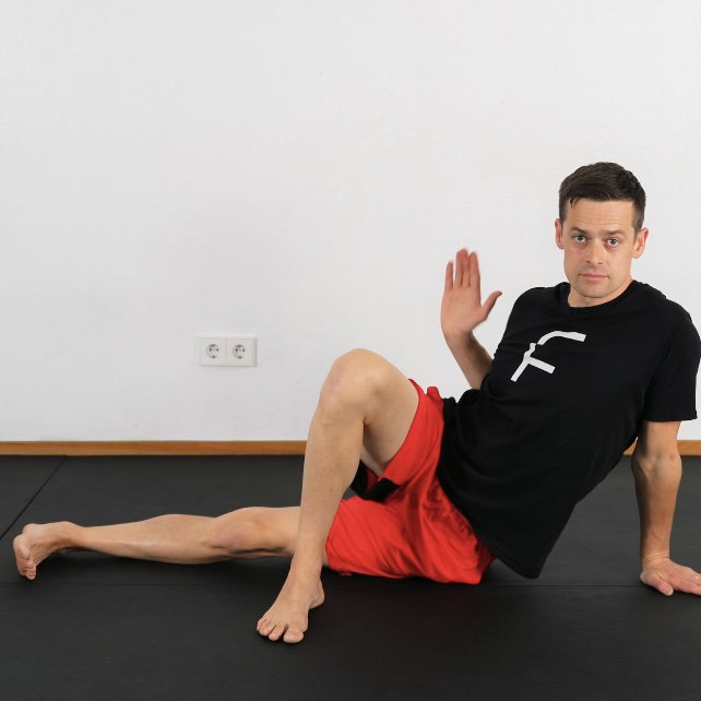 QDL Strech assisted active Background